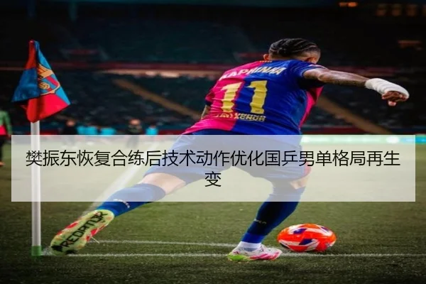 樊振东恢复合练后技术动作优化国乒男单格局再生变